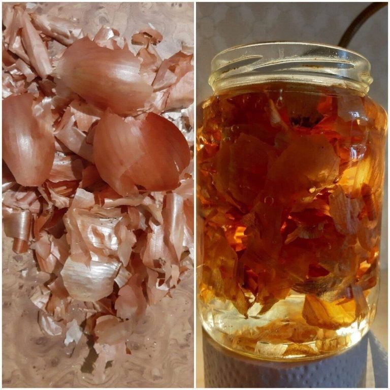 photo_5422857435309261268_y